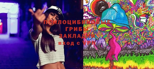 метамфетамин Алексеевка
