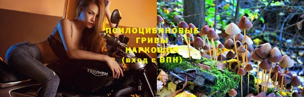 кокаин колумбия Алексин