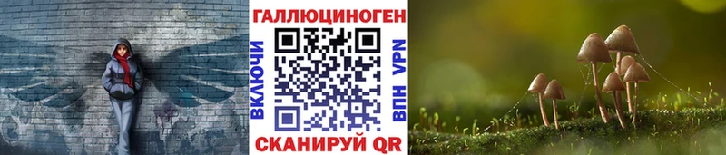Псилоцибиновые грибы Psilocybe  Калининск 